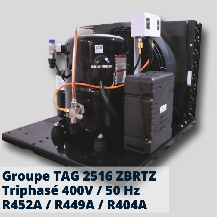 Groupe Tecumseh TAGT 2516 ZBR-TZ - Total Froid Distribution