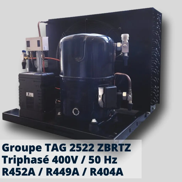 Groupe Tecumseh TAGT 2522 ZBR-TZ - Total Froid Distribution