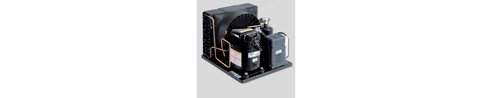 Prix fournisseur! Groupes de condensation Tecumseh R449A, R134a, R404A
